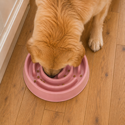 Gamelle d'alimentation lente